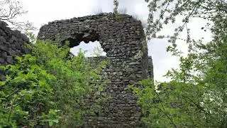Tip na výlet: zřícenina hradu Ronov 