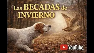 LAS BECADAS DE INVIERNO. CAZA DE BECADAS,BECCACCIA,BECASSE,WOODCOK.