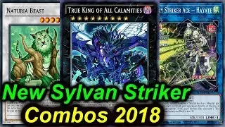 【YGOPRO】SYLVAN SKY STRIKER DECK 2018 - NEW COMBOS!!