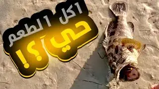 صدته بالطعم الحي و صدت اخوانه 🤣