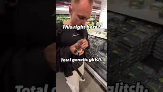 Stop craving by switching off one gene 🧬