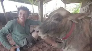 Free Permaculture Design Course Part 21   Zone 3   Farm Designs