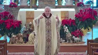 The Domestic Church: Healing the World through the Family | Fr. Pat, SDB Homily | December 28, 2025
