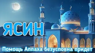 Ясин (СЕРДЦЕ КОРАНА) СЛУШАЙТЕ КАЖДЫЙ ДЕНЬ || сураясин , Yasin surasi