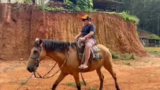 BrazilTravel #Delfim Moreira #Minas Gerais #horse ride & waterfall