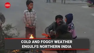Cold and foggy weather engulfs Northern India