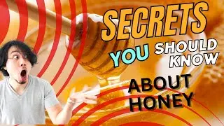 How Do Bees Make Honey | Secret of honey | How Honey is Made | Harvesting Honey |Honey From  Beehive