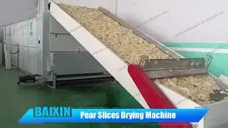 Pear slices drying machine