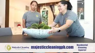 Majestic Cleaning of the Palm Beaches