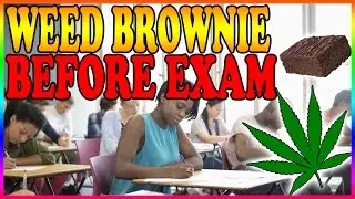 WEED BROWNIE BEFORE EXAM
