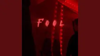 Fool