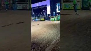 Avar&eacute;/22 #mundosertanejo #rodeiobrasil #rodeo #rodeostyle #rodeio #rodeioemtouros #rodeios #touro