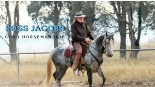 Good Horsemanship Video Lessons Available