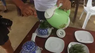 COSTALES NATURE FARMS - Tea Making (Spearmint-Taragon Tea)