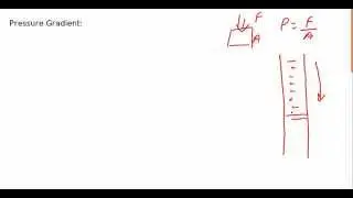 Pressure Gradient
