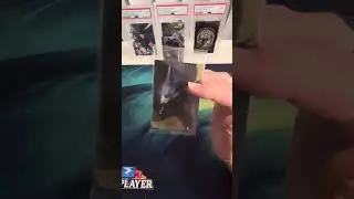Monster Hunter 20th Anniversary Wafer Box OPENING