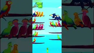 BIRD SORT PUZZLE : COLOR GAME LEVEL150 TO 21 COMPLETED #shorts #games @cocohindiyt @LOKESHGAMER