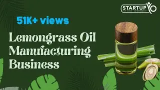 Lemongrass Oil Manufacturing Business | StartupYo | www.startupyo.com