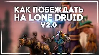 КАК ПОБЕЖДАТЬ НА LONE DRUID v2.0 | ГАЙД ОТ 6К ИГРОКА