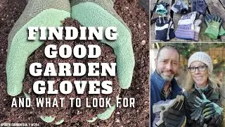 🧤 Finding Good Garden Gloves - SGD 254 🧤 #garden #gloves #gardeningtips