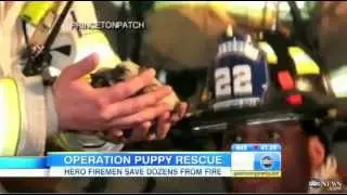 N.J. Firefighters Rescue Puppies From Fire