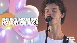 Shawn Mendes performs 