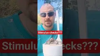Stimulus Checks: Good or Bad for the Economy? (Ice Cream Break Debate!)