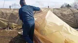 كيفاش كنظفو للدجاج فالبادية ❤️😍