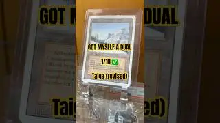 #tradinguptoduals 🔥 🔥UPDATE - TAIGA 1st dual land trade #mtg #crackingpacks #mtgfinance #edh #tcg