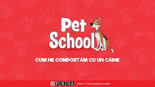 Cum ne comportam cu un caine | PURINA PetSchool