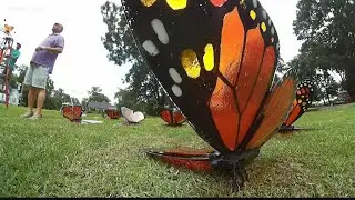 Plains, Georgia honors former First Lady Rosalynn Carter Garden with dancing monarch sculpture