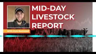 Midday Livestock Report with Kyle Bumsted  Thursday | 01/15/26