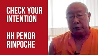 Check Your Intention (#Buddhism), HH Penor Rinpoche