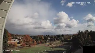 Daily noon snapshot - first day of spring 2024 to first day of spring 2025