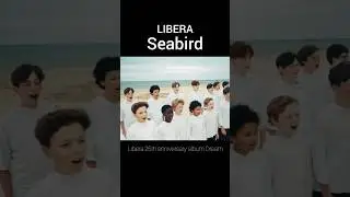 Libera - Seabird