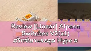 Review [Linear] Alpaca Switches V2(x1) สวิทช์มาแรงสุด Hype สีสวยพร้อม Pre-Lubed จากโรงงานพร้อมใช้