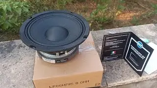 Review of the 6 inch RCF racing speaker, cheap RCF LF06HF115