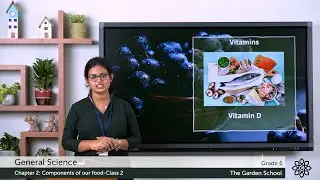 Grade 6 General Science Chapter 2 Class 2 Vitamins and Minerals