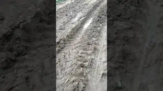 Gohirapadi#damage#condition# Road#Kenduapada#Bhadrak