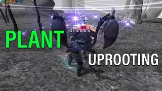 FFXI Escha Zi'Tah NM Aglaophotis Fight - Thief Solo with Trusts