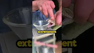Extraire le venin d'un serpent