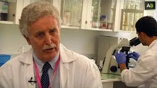AS Jos&eacute; Becerra, biomedical research for regeneration using stem cells