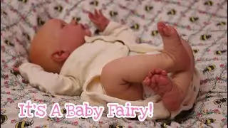 Magical Reborn Doll Box Opening! It&rsquo;s A Fairy Baby! Name Reveal!