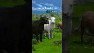Horse Ranch in the Sims 4 #sims4 #thesims #sims #thesims4 #симс4 #симс #shorts #viral #horse
