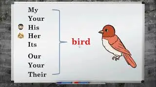 Egalik olmoshlari - Possessive adjectives ● INGLIZLAN (beginner) #8
