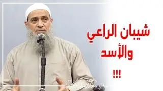 شيبان الراعي والأسد!!!!