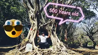 I almost died visiting Yunnan China｜Ft: Buddhist Temples｜Botanical Garden｜#travel #vlog #china