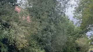 Live Magnet Fishing UK 🇬🇧