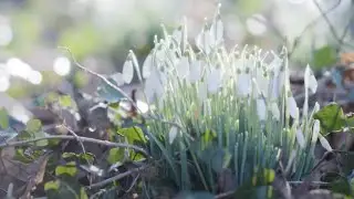 We Need Your Help: Track the Seasons with Nature&rsquo;s Calendar