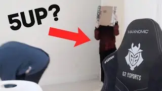 5box moments from hafu's bday stream!